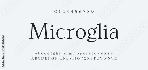 Elegant Font Uppercase Lowercase and Number. Classic Lettering Minimal Fashion Designs. Typography modern serif fonts regular decorative vintage concept. vector illustration