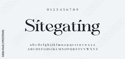 Elegant Font Uppercase Lowercase and Number. Classic Lettering Minimal Fashion Designs. Typography modern serif fonts regular decorative vintage concept. vector illustration