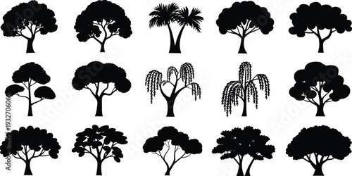 Black silhouette vector illustration of fifteen different tree types arranged in rows, showing diverse foliage, species, landscape, botanical design