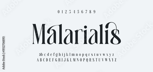 Elegant Font Uppercase Lowercase and Number. Classic Lettering Minimal Fashion Designs. Typography modern serif fonts regular decorative vintage concept. vector illustration