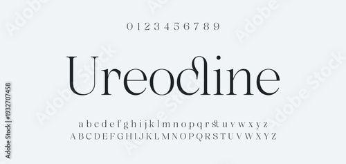 Elegant Font Uppercase Lowercase and Number. Classic Lettering Minimal Fashion Designs. Typography modern serif fonts regular decorative vintage concept. vector illustration