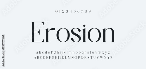 Elegant Font Uppercase Lowercase and Number. Classic Lettering Minimal Fashion Designs. Typography modern serif fonts regular decorative vintage concept. vector illustration