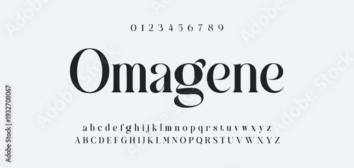 Elegant Font Uppercase Lowercase and Number. Classic Lettering Minimal Fashion Designs. Typography modern serif fonts regular decorative vintage concept. vector illustration
