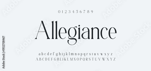Elegant Font Uppercase Lowercase and Number. Classic Lettering Minimal Fashion Designs. Typography modern serif fonts regular decorative vintage concept. vector illustration