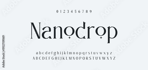 Elegant Font Uppercase Lowercase and Number. Classic Lettering Minimal Fashion Designs. Typography modern serif fonts regular decorative vintage concept. vector illustration
