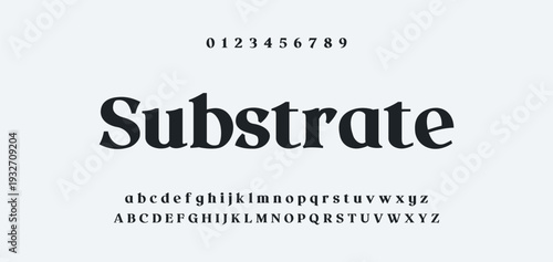 Elegant Font Uppercase Lowercase and Number. Classic Lettering Minimal Fashion Designs. Typography modern serif fonts regular decorative vintage concept. vector illustration