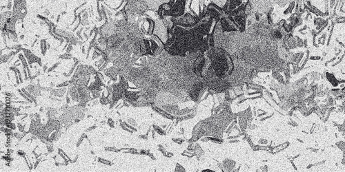 Abstract grayscale textured background with organic shapes and granular noise effect creating a dynamic and complex visual pattern suitable for digital art and design projects
