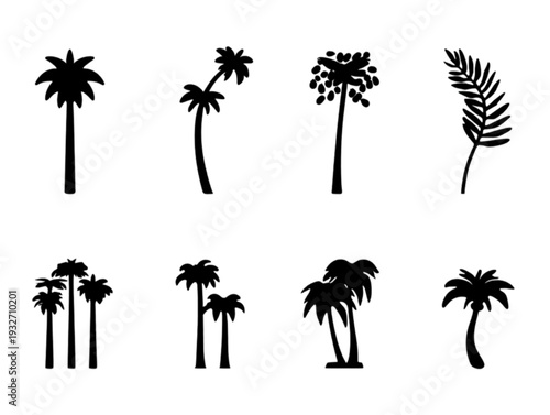 palm trees silhouettes