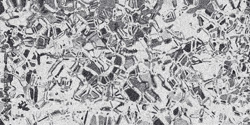 Abstract monochrome textured background with a granular pattern and irregular organic shapes resembling cellular structures or fractured surfaces creating a complex and detailed visual effect for