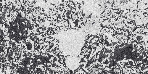 Monochrome abstract background with irregular dark and light organic shapes and a speckled grainy texture for graphic design elements
