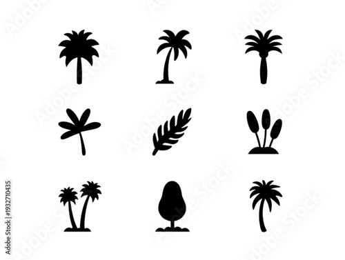 silhouettes of palms