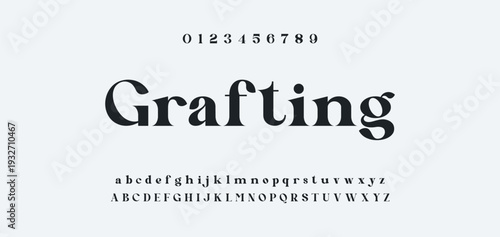 Elegant Font Uppercase Lowercase and Number. Classic Lettering Minimal Fashion Designs. Typography modern serif fonts regular decorative vintage concept. vector illustration