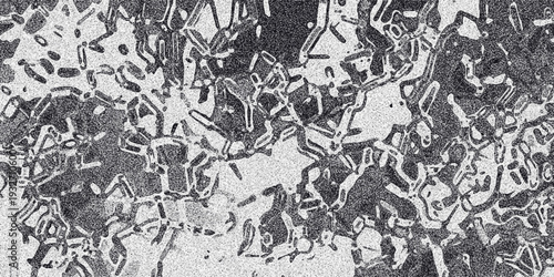 Detailed monochrome abstract background with a complex tessellation of irregular shapes and a fine granular texture, providing a visually rich and textured surface for graphic design and artistic