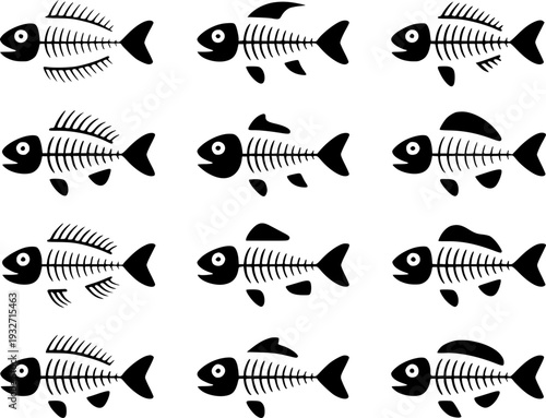 Collection of Black Fish Skeletons with White Eyes a White Background