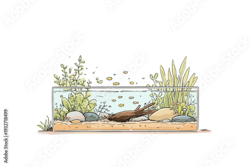 Minimalist Planted Aquarium Aquascape Illustration