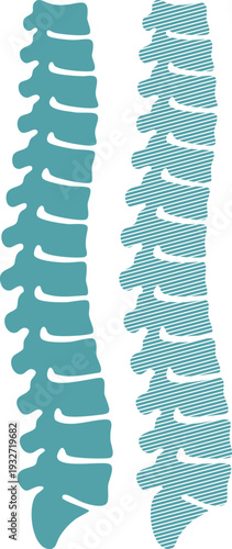 Two stylized teal spinal columns with white background
