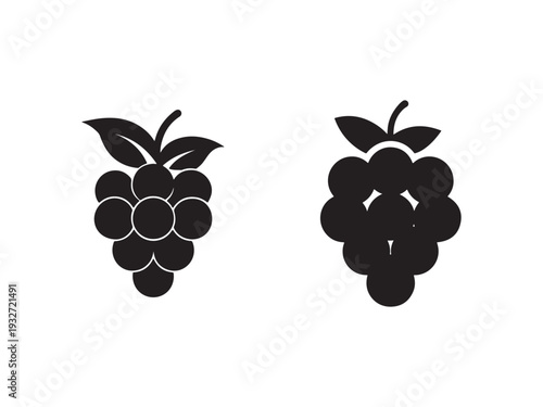 Blackberry silhouettes with leaves on white background  two blackberry icons