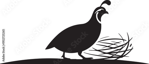 Black silhouette of a quail bird with a nest on a white background