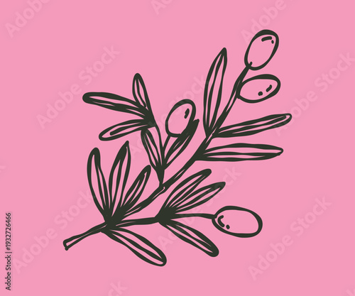 Whimsical doodle branch olives. Hand drawn illustration.