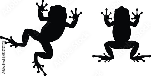 Two black frog silhouettes in dynamic and static poses, climbing and spreading limbs, simple amphibian illustration for design, art, logos, education, and creative projects