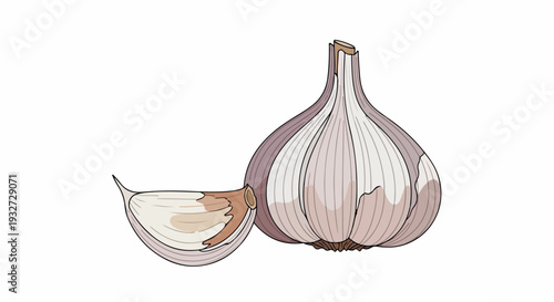 Illustration of a whole bulb and a sliced bulb of garlic on a white background with earthy tones.