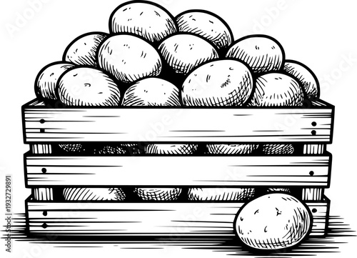 Hand Drawn Wooden Crate Overflowing with Fresh Potatoes Isolated White food harvest