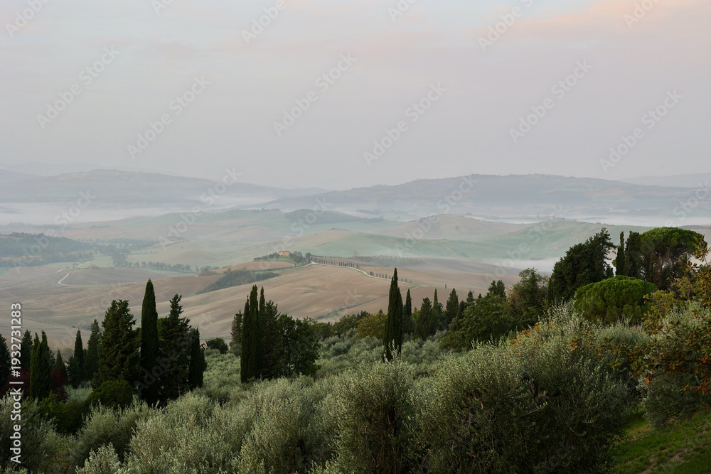 Fototapeta premium Scenic autumn sunrise near Pienza in the Province of Siena, Tuscany, Italy. Rolling countryside, olive groves, and elegant cypress trees stretch toward distant hazy hills beneath warm early light.