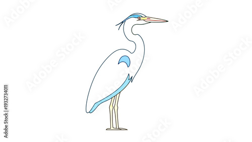 Illustration of a Standing Great Blue Heron.