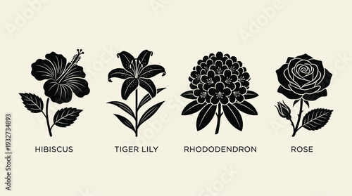 Exotic flowers icon set in black silhouette style, hibiscus, tiger lily, rhododendron, and rose.