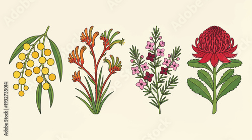 Australian native flora icon set in flat style, wattle, kangaroo paw, paperbark, and waratah
