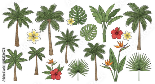 Tropical plants and trees illustration, perfect for summer and vacation themes.