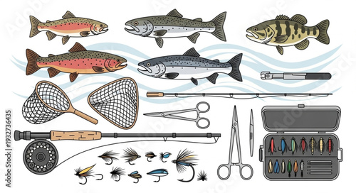 Fly fishing equipment and various fish species illustration for outdoor activities.