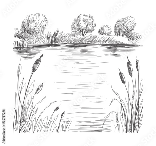 Black and white ink of a tranquil lake with cattails and trees