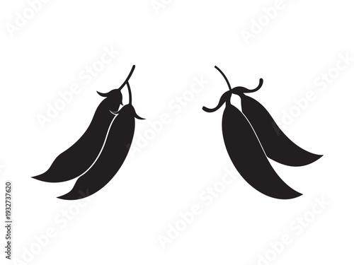 Silhouette of two bunches of dried chili peppers or banana peppers or long hot peppers hanging down  isolated on white background