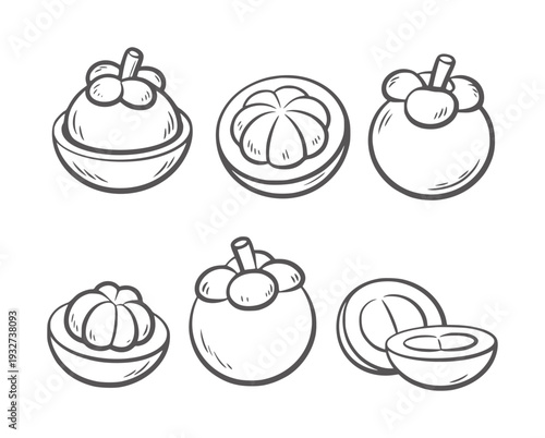 Black and white line of whole and halved mangosteens fruit tropical food outline