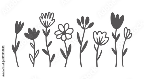 Minimalist black and white line floral arrangement flower plant