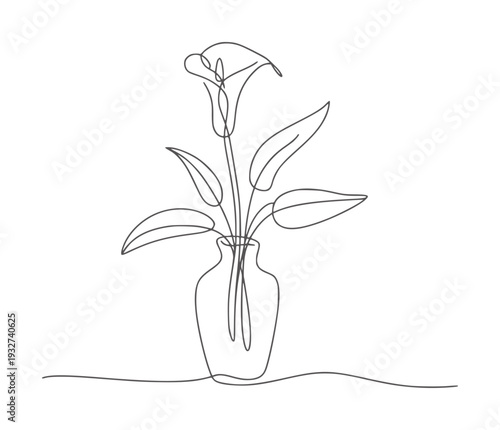Single calla lily in a vase continuous line flower