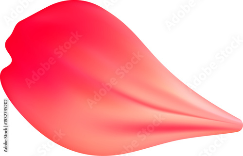 Tender spring red coral flower flow. Aroma of cherry blossoms. Floral air vortex. Magic spring dust petals splash. Design for gift, card, package. Vector illustration.