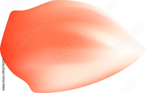 Tender spring red coral flower flow. Aroma of cherry blossoms. Floral air vortex. Magic spring dust petals splash. Design for gift, card, package. Vector illustration.