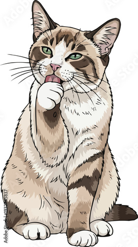 Aegean cat licking paw cute grooming vector illustration