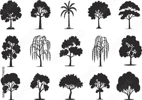 Silhouette vector illustration of diverse tree species including palm, willow, conifer, and broadleaf arranged in botanical classification grid design