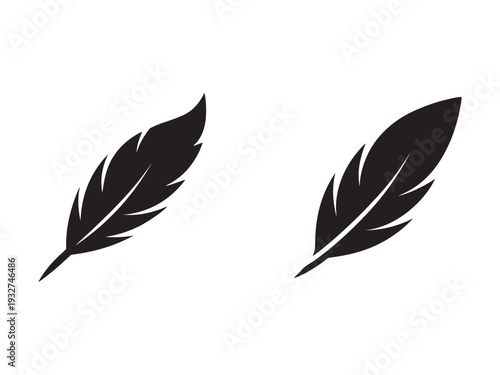 Two black feathers in different shapes and sizes isolated on white background
