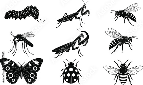 Black and white insect icons set featuring butterfly, bee, ladybug, praying mantis, caterpillar, mosquito, and wasp illustrations for nature graphic design