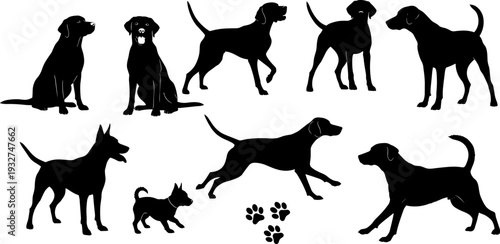 Dog silhouette set different poses vector illustration pet animal collection black shadow puppy canine designDog silhouette set different poses vector 