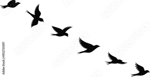 Silhouette of flying birds in diagonal formation isolated on white background black and white minimalist wildlife illustration with copy space