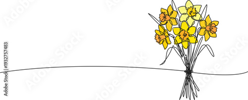 continuous line drawing of a bunch of narcissus flowers, daffodil bouquet line art vector illustration