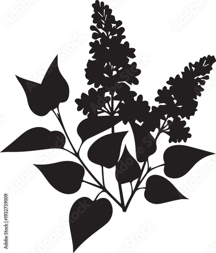 Lilac branch vector silhouette illustration with flowers and leaves isolated on white part