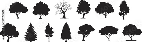 Black silhouette vector illustration of diverse tree species including broadleaf coniferous and leafless forms symbolizing forest vegetation nature landscape outdoor environment artwork