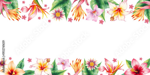 Watercolor summer frame with tropical flowers. Horizontal vector divider, headers, invitations, perfect for seasonal design. Vector.