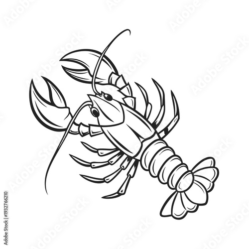 Vector illustration of a crayfish